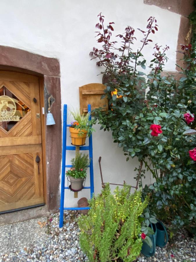 Le Nid De Cigognes Hotel Hengwiller Luaran gambar