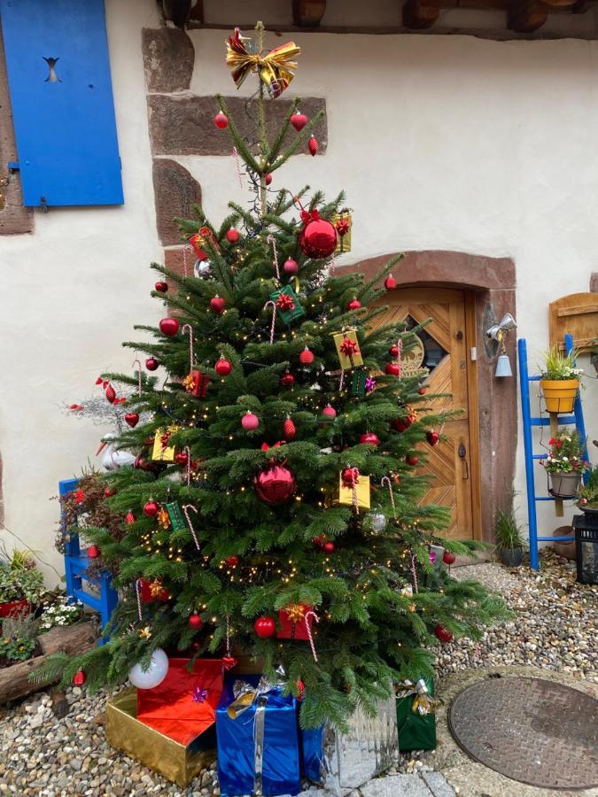 Le Nid De Cigognes Hotel Hengwiller Luaran gambar