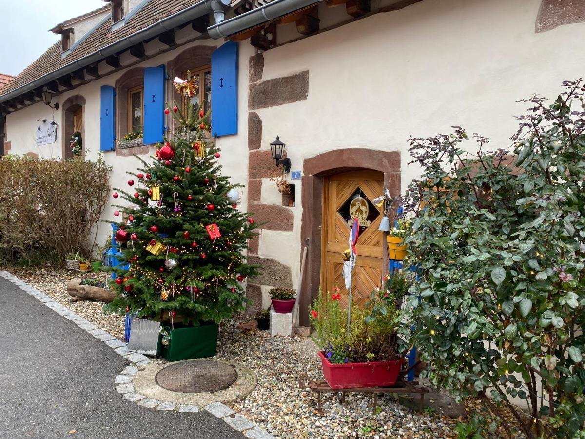 Le Nid De Cigognes Hotel Hengwiller Luaran gambar