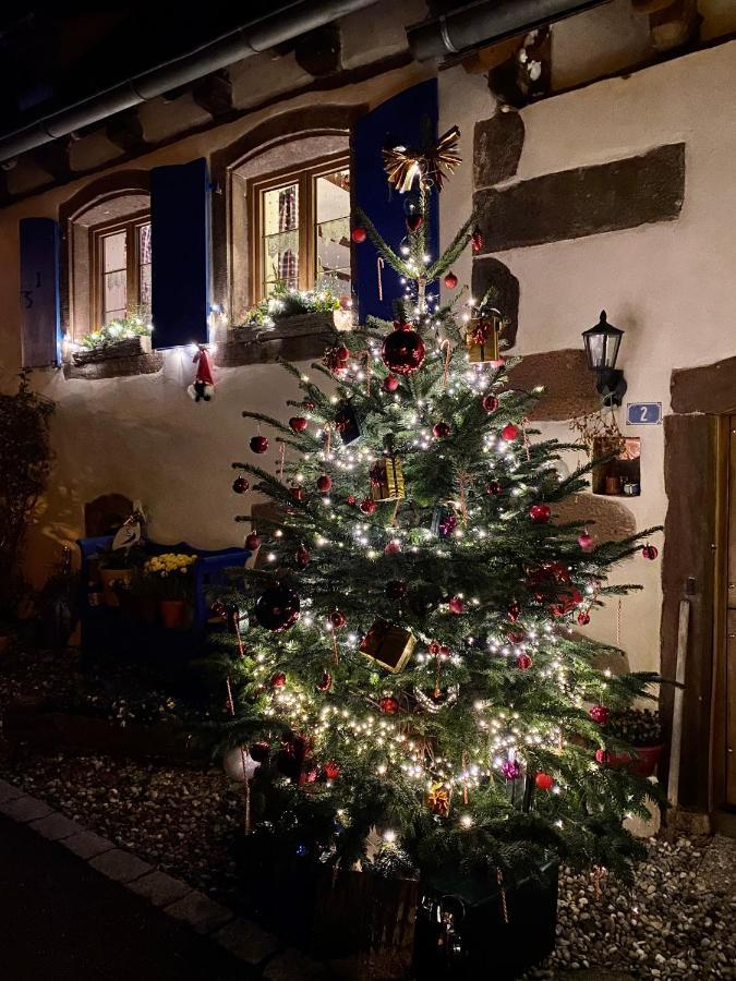 Le Nid De Cigognes Hotel Hengwiller Luaran gambar
