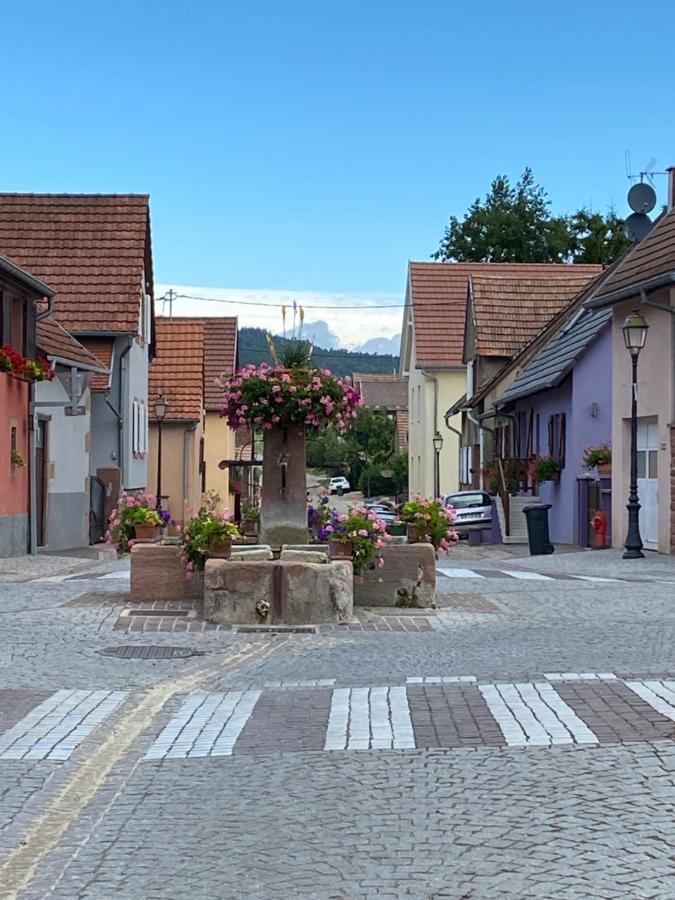 Le Nid De Cigognes Hotel Hengwiller Luaran gambar