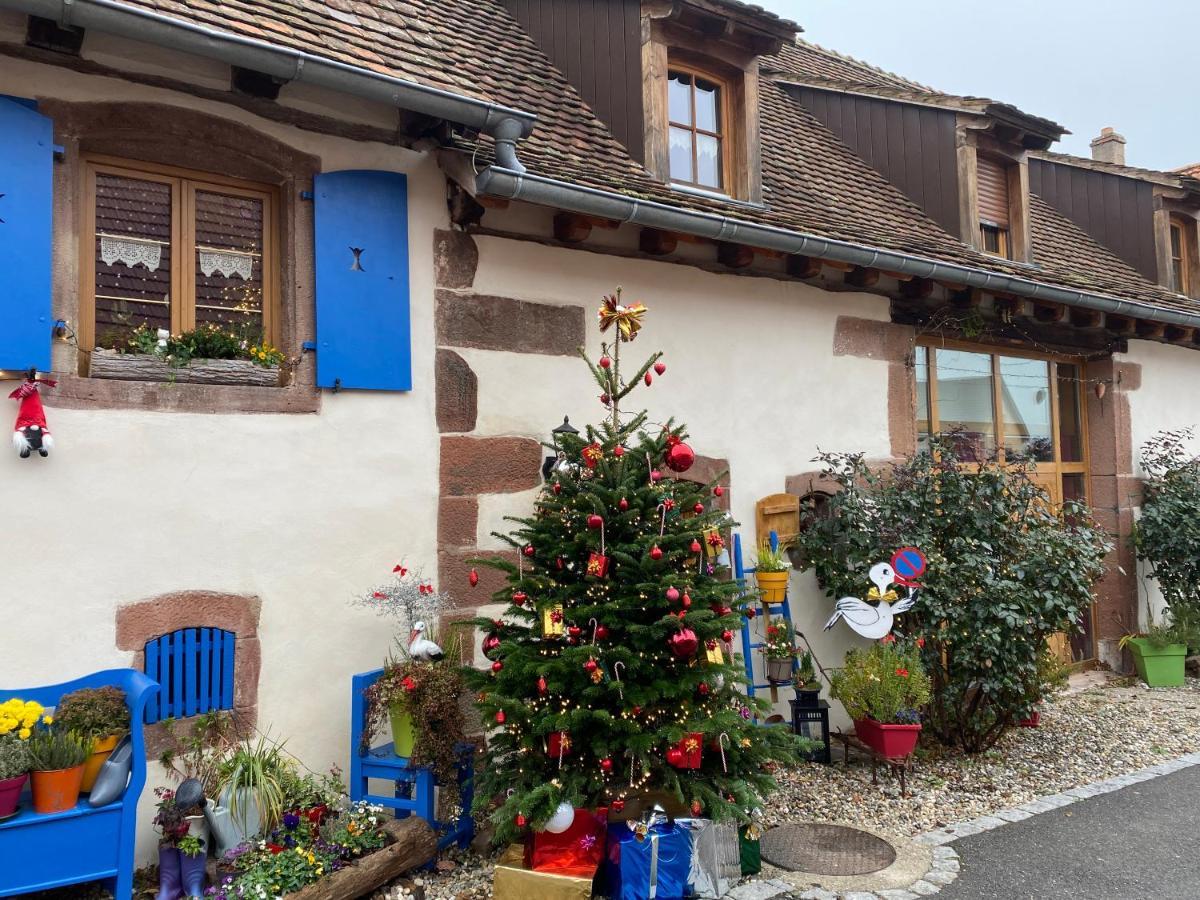 Le Nid De Cigognes Hotel Hengwiller Luaran gambar