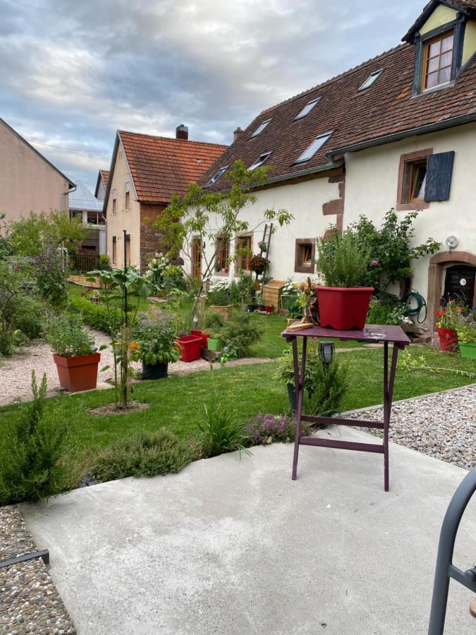 Le Nid De Cigognes Hotel Hengwiller Luaran gambar
