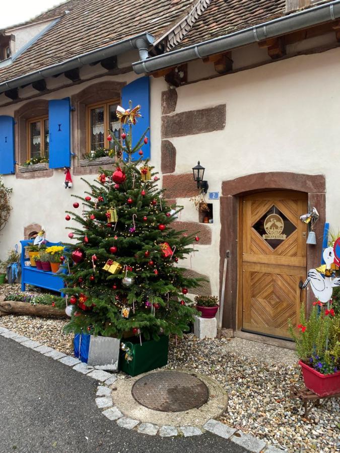 Le Nid De Cigognes Hotel Hengwiller Luaran gambar