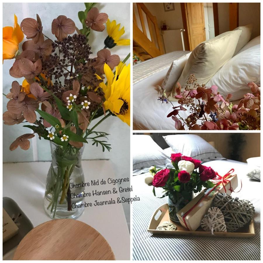 Le Nid De Cigognes Hotel Hengwiller Luaran gambar