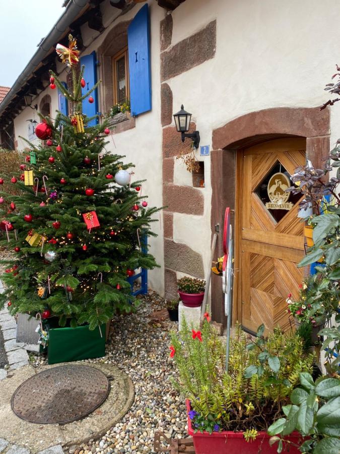 Le Nid De Cigognes Hotel Hengwiller Luaran gambar