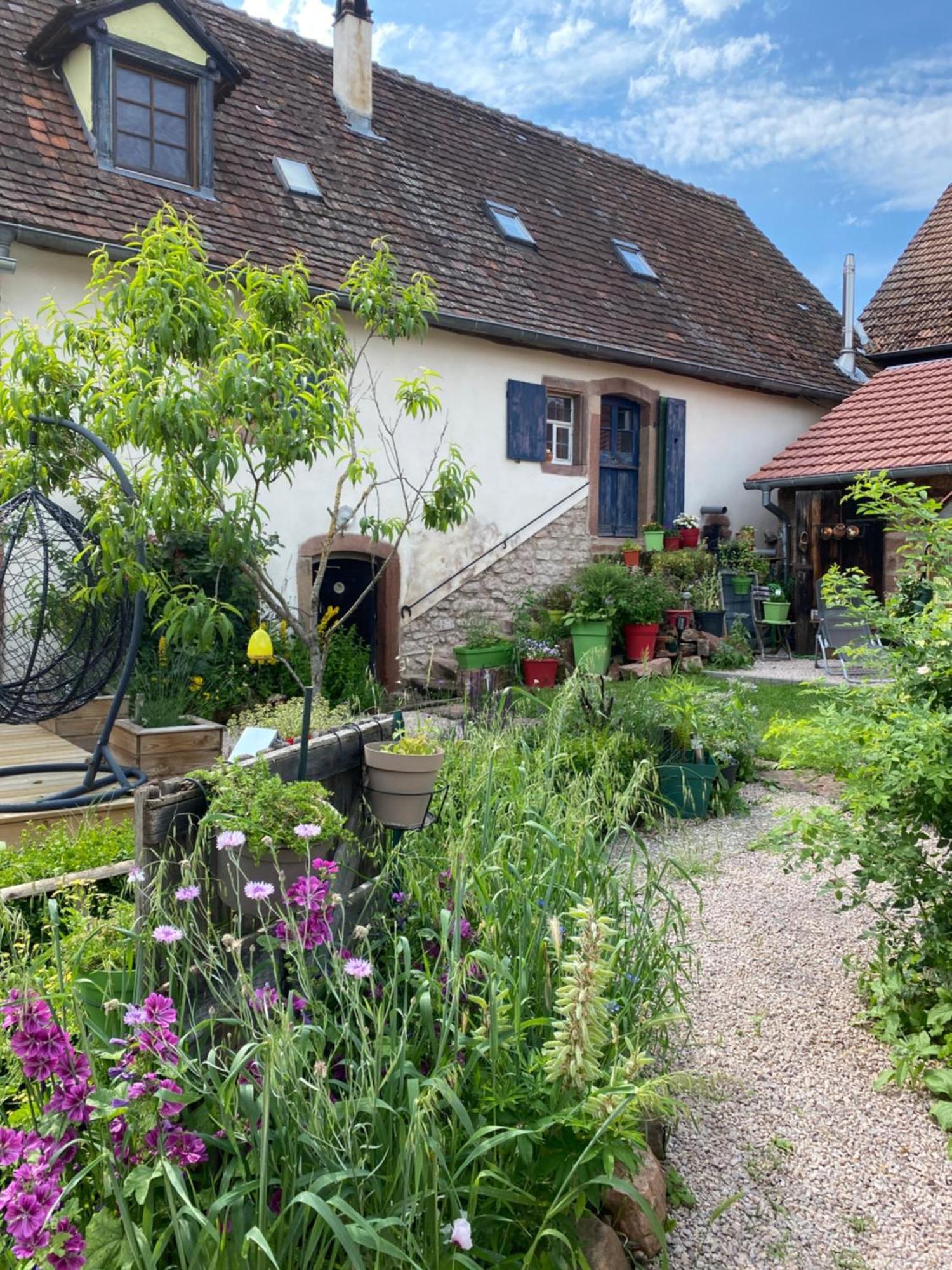 Le Nid De Cigognes Hotel Hengwiller Luaran gambar