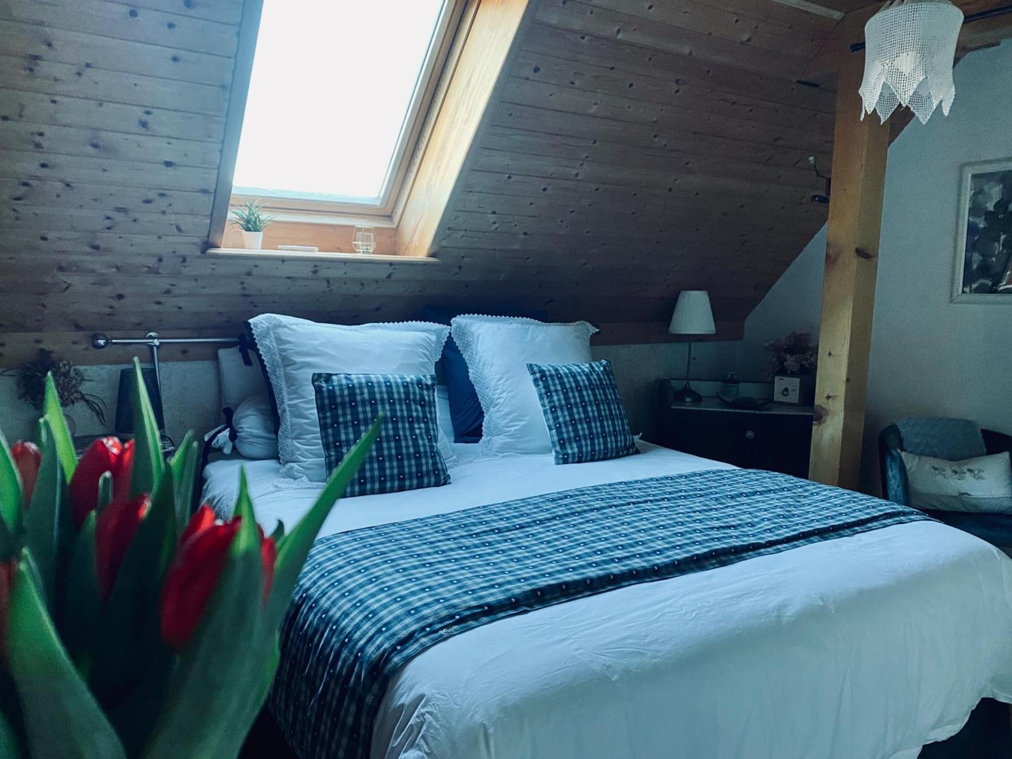 Le Nid De Cigognes Hotel Hengwiller Luaran gambar