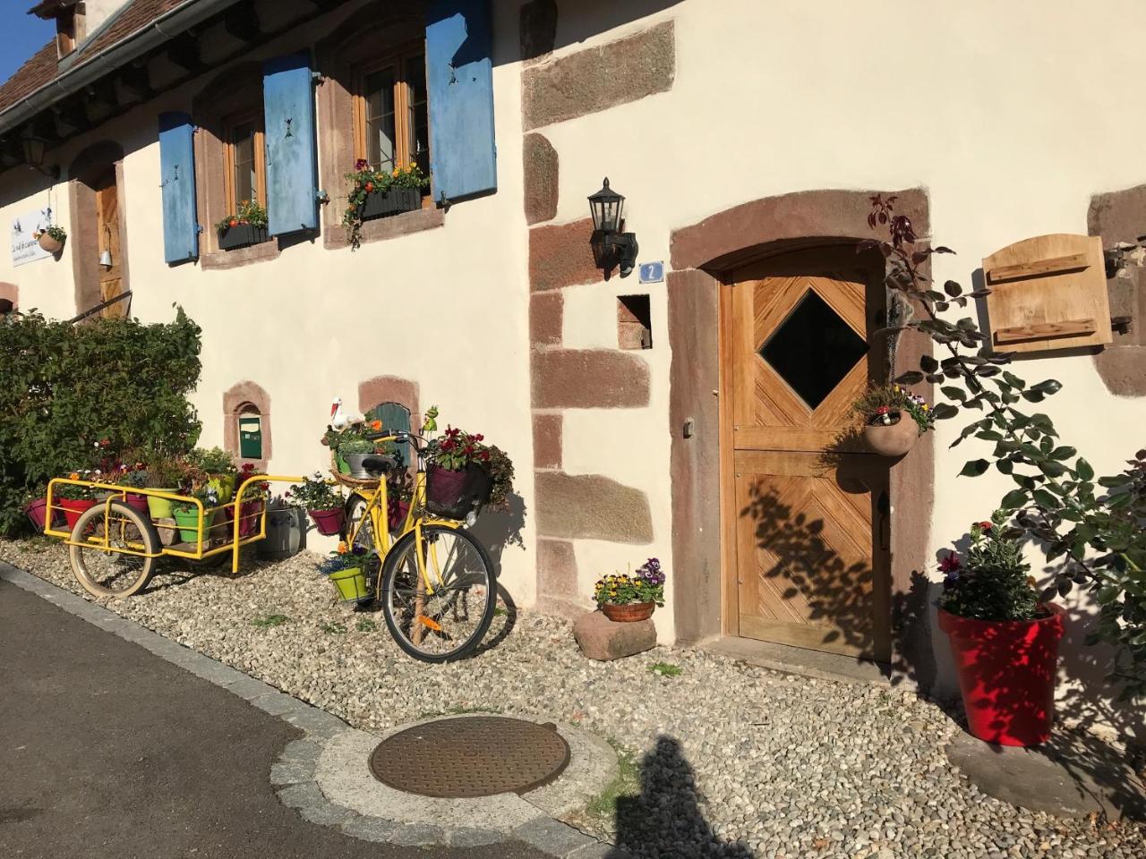 Le Nid De Cigognes Hotel Hengwiller Luaran gambar