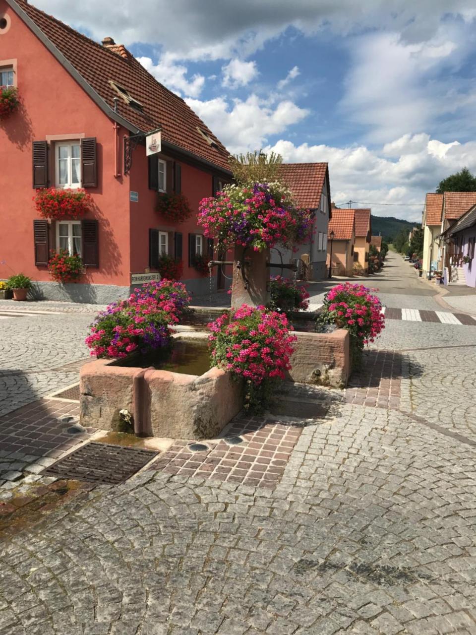 Le Nid De Cigognes Hotel Hengwiller Luaran gambar